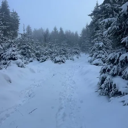 アパート Ruppbergblick *