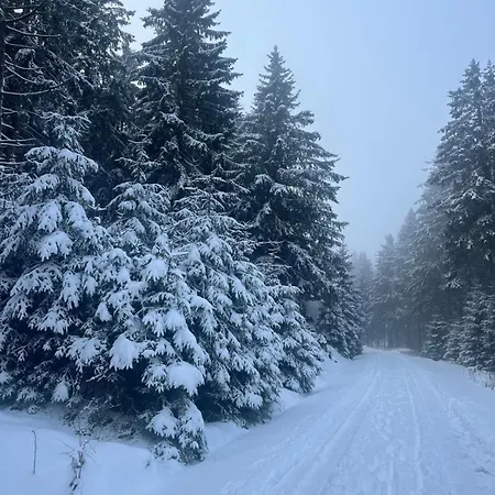 Ruppbergblick Zella-Mehlis