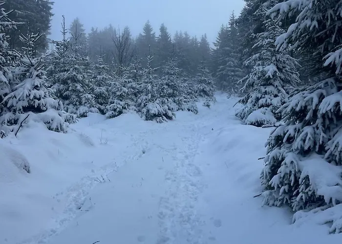 Daire Ruppbergblick *