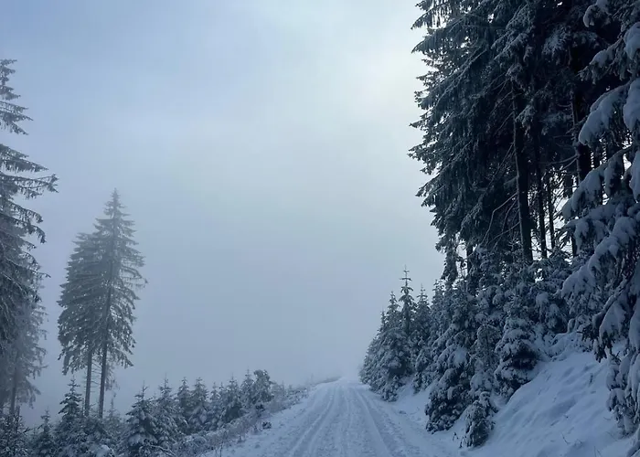 Daire Ruppbergblick *