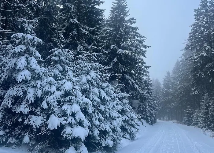 Ruppbergblick Zella-Mehlis